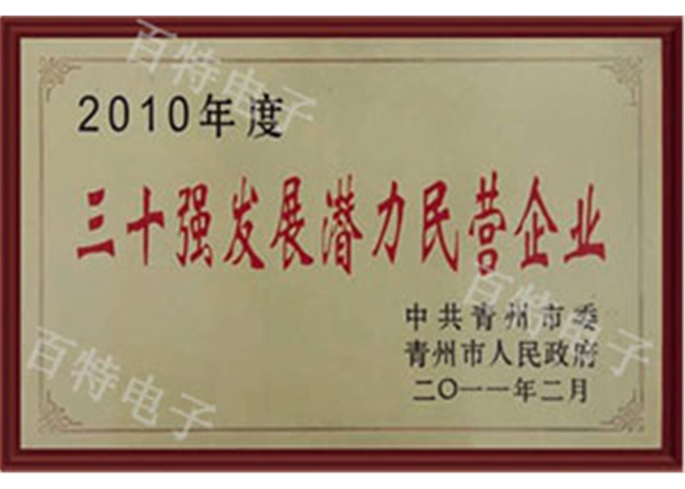 2010年度三十強(qiáng)發(fā)展?jié)摿γ駹I(yíng)企業(yè)